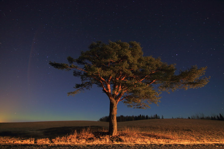 Lõuna-Eesti värviline öö