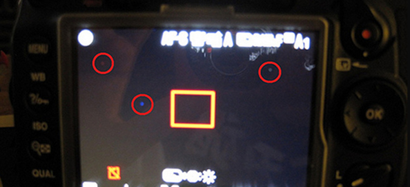 Обновление для Nikon D7000 поможет справиться со светлыми пикселями