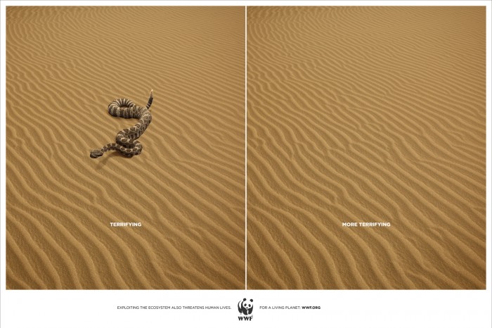 Как показать на фото то, чего скоро не будет: печатная реклама WWF