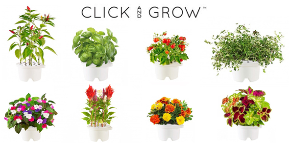 Новые растения для вашего дигитального садика Click and Grow в Photopoint