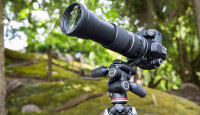 Лучшая сделка этого лета: преврати свой Canon или Nikon в мощное оружие для фотоохоты