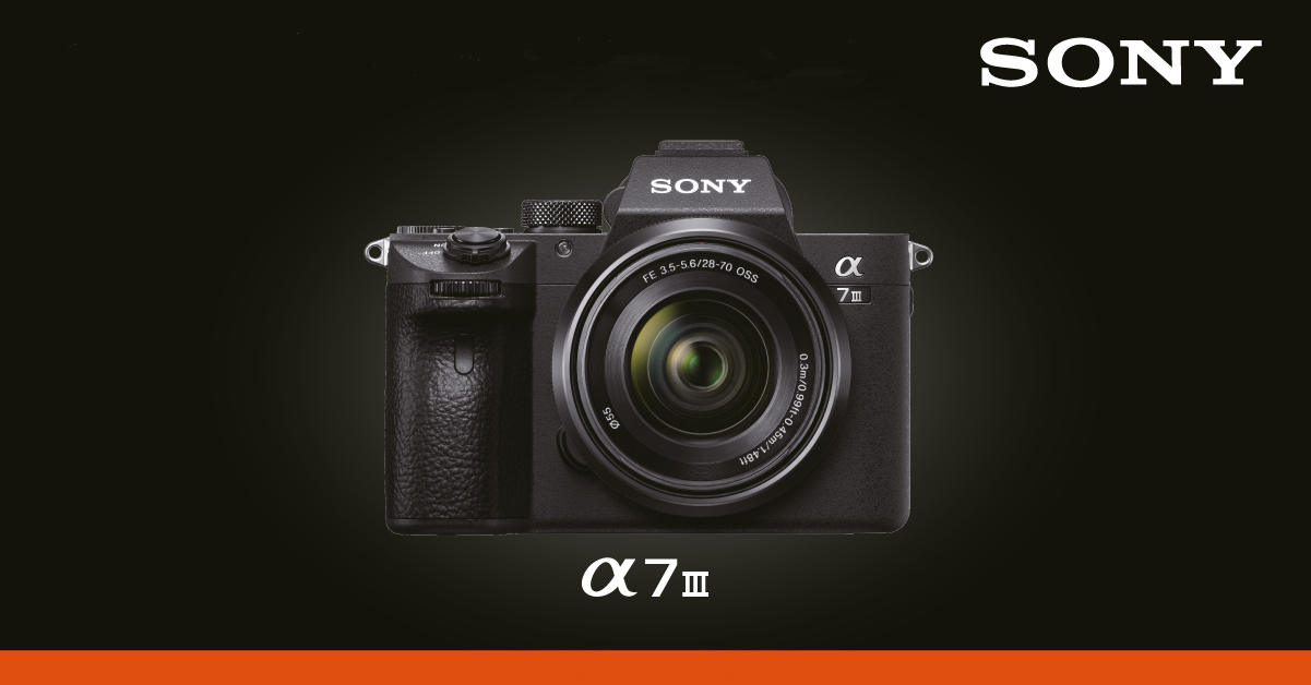 Cделай себе ценный подарок и купи полнокадровую камеру Sony - топ продаж в Photopoint