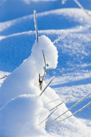 Snäpi fotokonkurss „Saaremaa külmakirjad“
