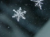 Artprint ja snap.ee kuulutavad välja fotokonkursi „Esimene lumi“