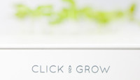 Karbist välja: Click and Grow digitaalne lillepott