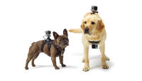 GoPro paneb koerad rakkesse – Fetch kinnitab seikluskaamera seljale või kõhu alla