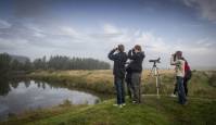 Rahvusvahelistel linnuvaatluspäevadel saab oma panuse anda ka iga eestlane - fotode ja vaatlusandmetega