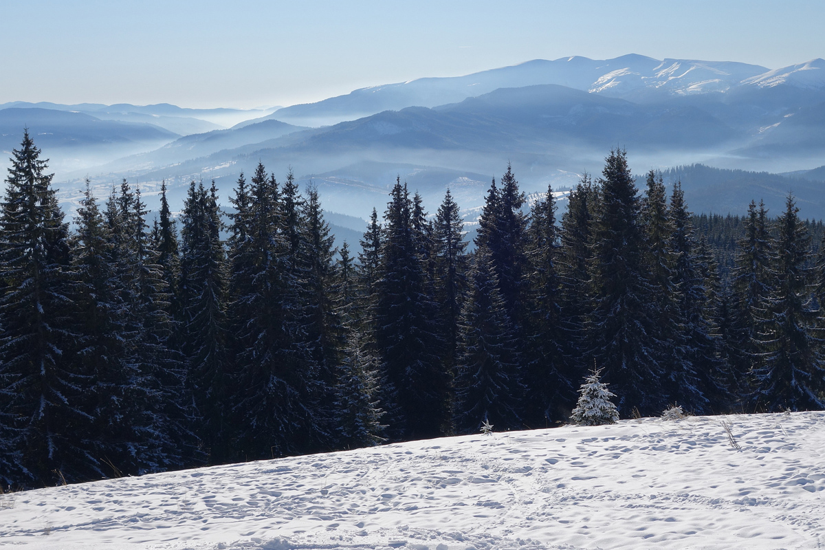 Amazing Carpathian Mountains