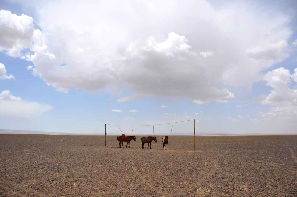 Suveks saledaks. Võistlushobused dieedil, Mongoolia