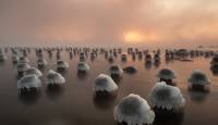 Eesti fotograafi Andrei Reinoli lummav loodusfoto avaldati National Geographicu rahvusvahelises ajakirjas