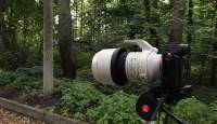 Metsakutsu proovis järele: 70-200mm teleobjektiiv koos Sony hübriidkaameraga on elu