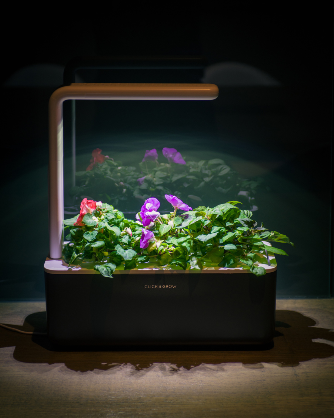 click-and-grow-smart-garden-photopoint-lemmalts-kontor