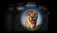 Olympus hübriidkaamerate lipulaev 250€ soodsam + kingituseks akutald