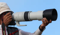 Canon RF 200-800mm f/6.3-9 IS USM on steroididel telesuum-objektiiv