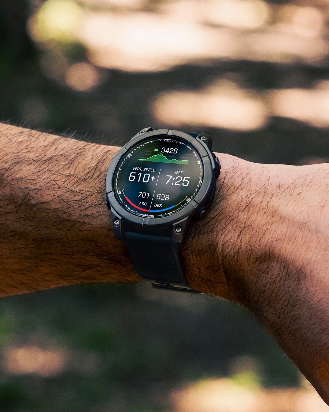 Garmin Fenix E
