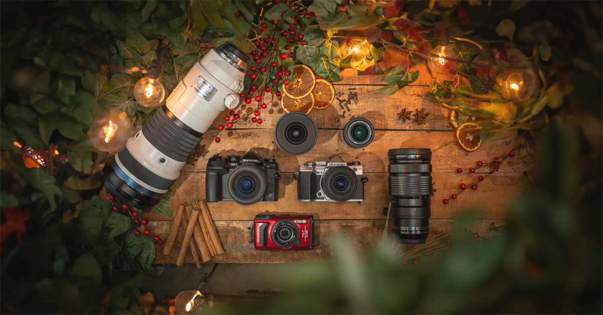 OM System jõulumüük