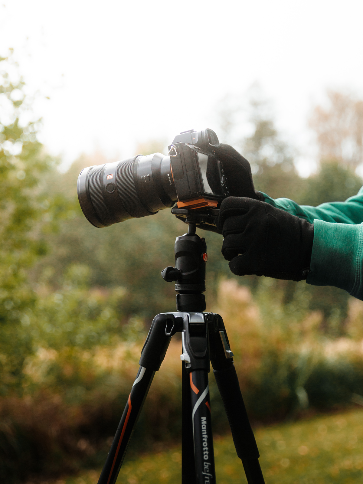 Manfrotto Befree Advanced Alpha MKBFRLA-BH